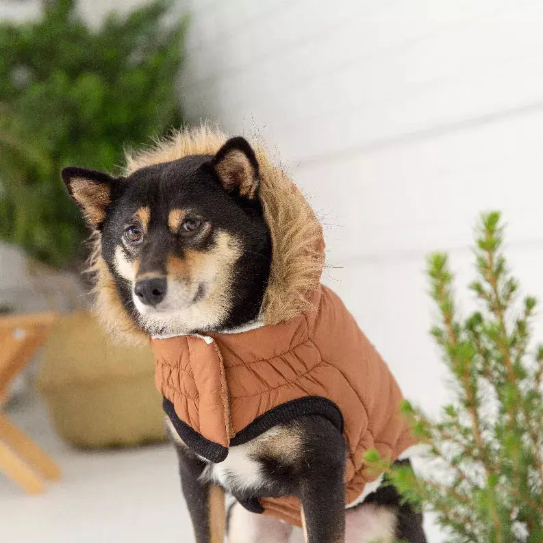 GF Pet ElastoFit Urban Dog Parka GF Pet