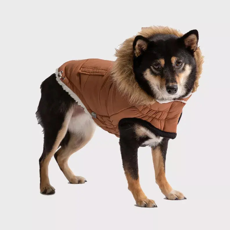 GF Pet ElastoFit Urban Dog Parka GF Pet
