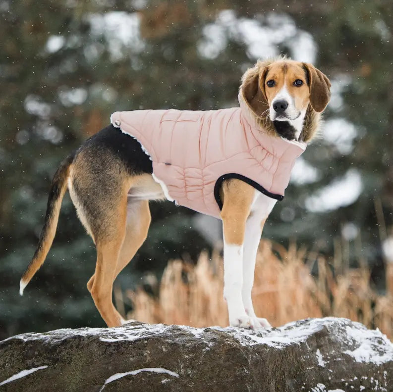 GF Pet ElastoFit Urban Dog Parka GF Pet