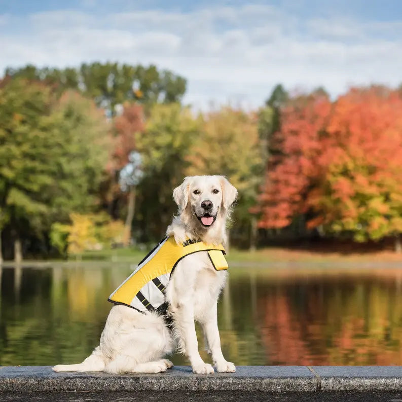 GF Pet Life Vest GF Pet
