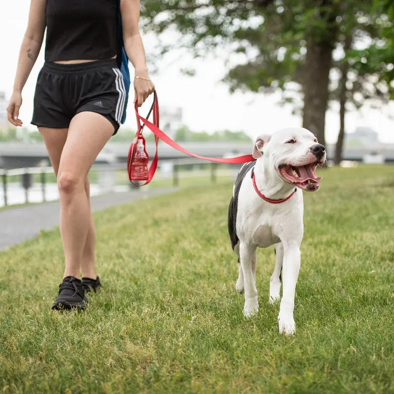 GF Pet  Reflective Leash GF Pet