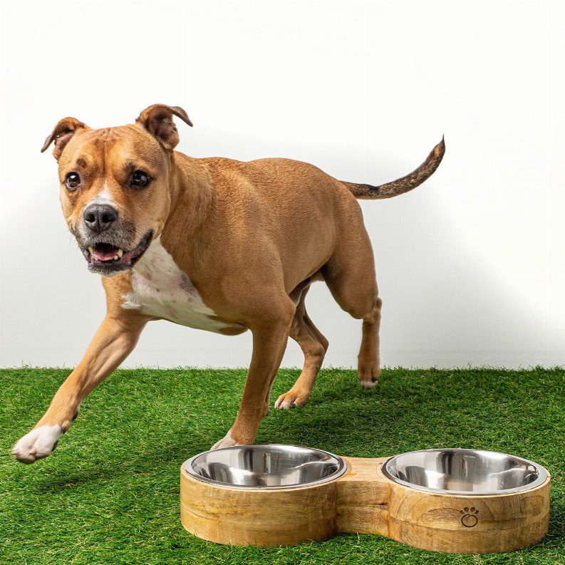 GF Pet Wood & Metal Feeder Double Diner GF Pet
