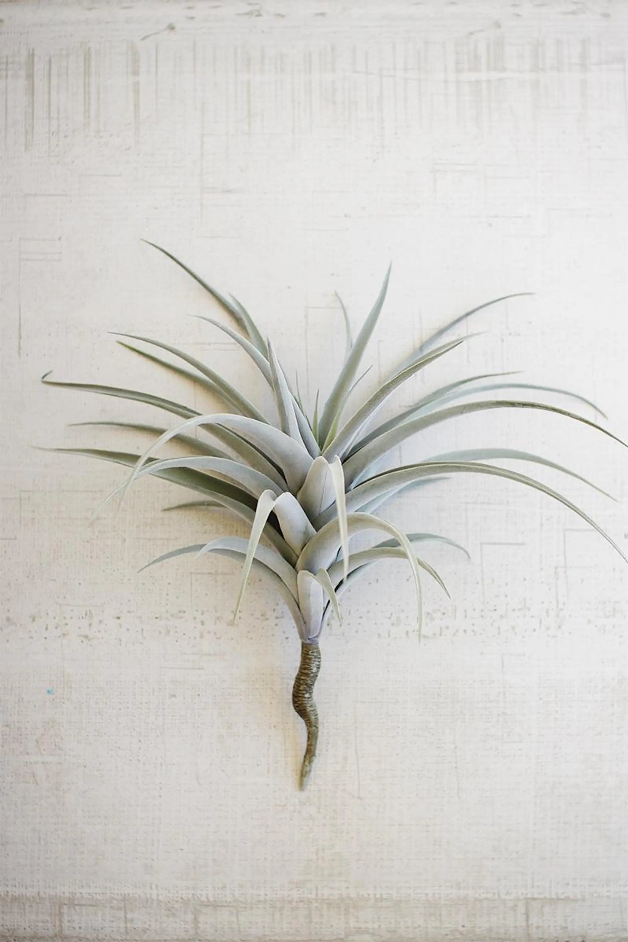 GIANT ARTIFICIAL AIRPLANT Kalalou