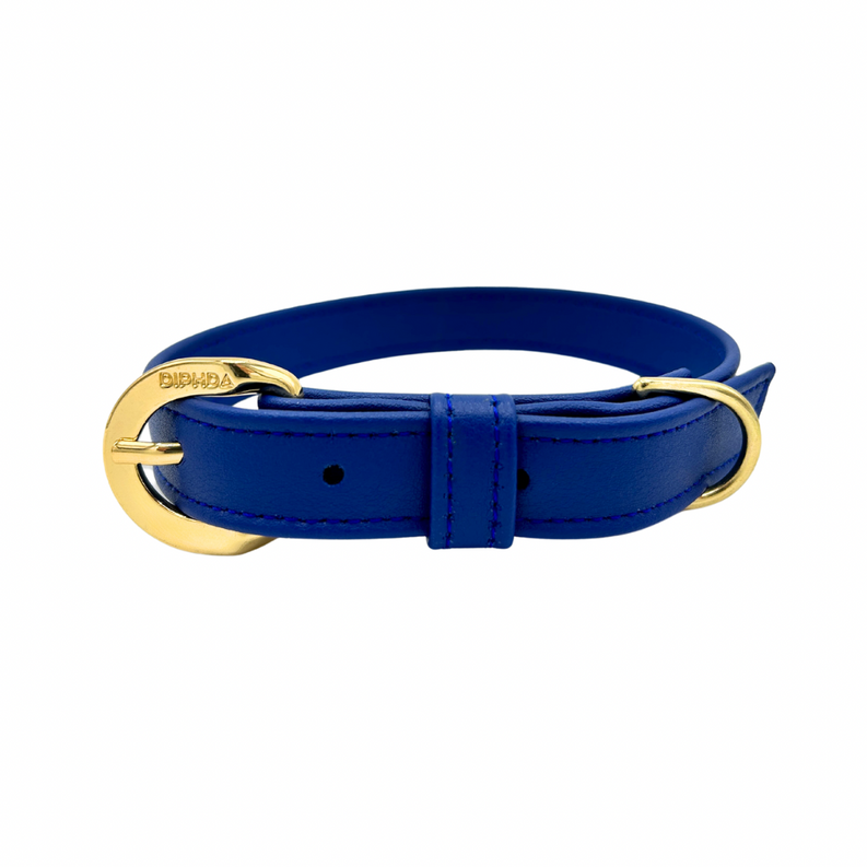 Galactic Blue Cactus Collar DIPHDA