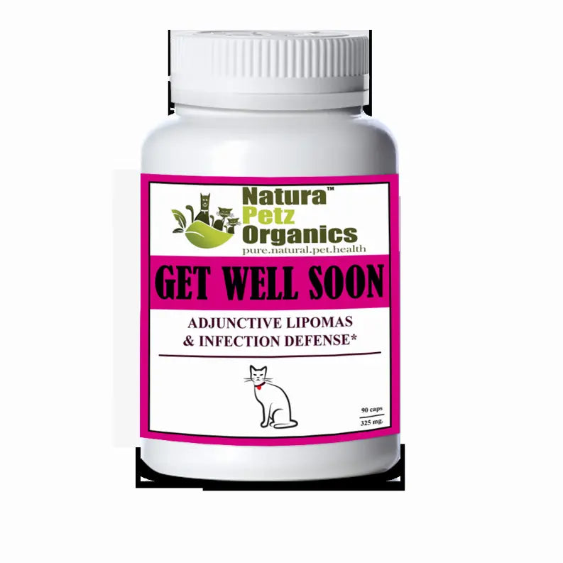 Get Well Soon - Adjunctive Lipoma + Infection Defense* Organic Pet Systems