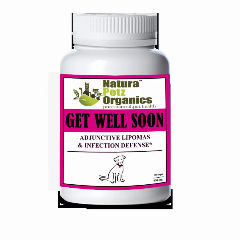 Get Well Soon - Adjunctive Lipoma + Infection Defense* Organic Pet Systems