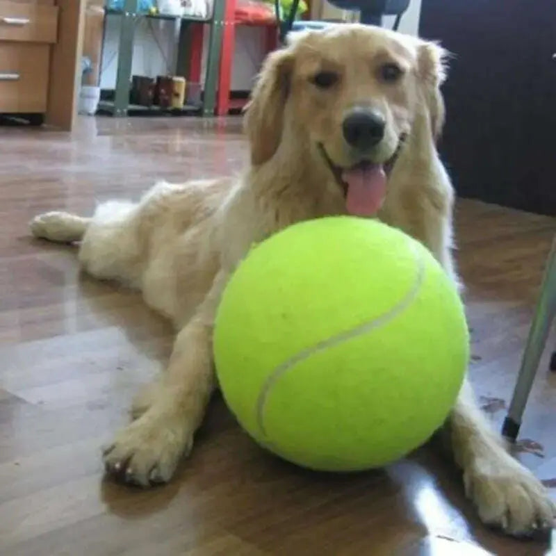 Giant-Tennis-Ball-For-Pet-Chew-Toy-Big-Inflatable-Tennis-Ball-Signature-Mega-Jumbo-Pet-Toy-Ball-Supplies-Outdoor-Cricket-GreatEagleInc-334162512