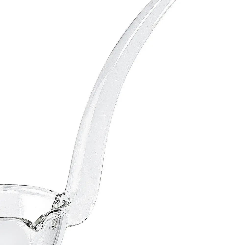 Glossy Clear Crystal Ladle Homeroots Kitchen & Dining