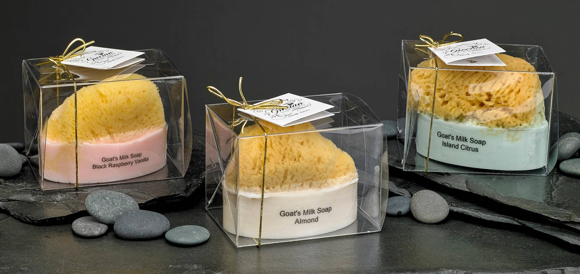 Goat Milk Soap with a Natural Sea Sponge Grecian Soap