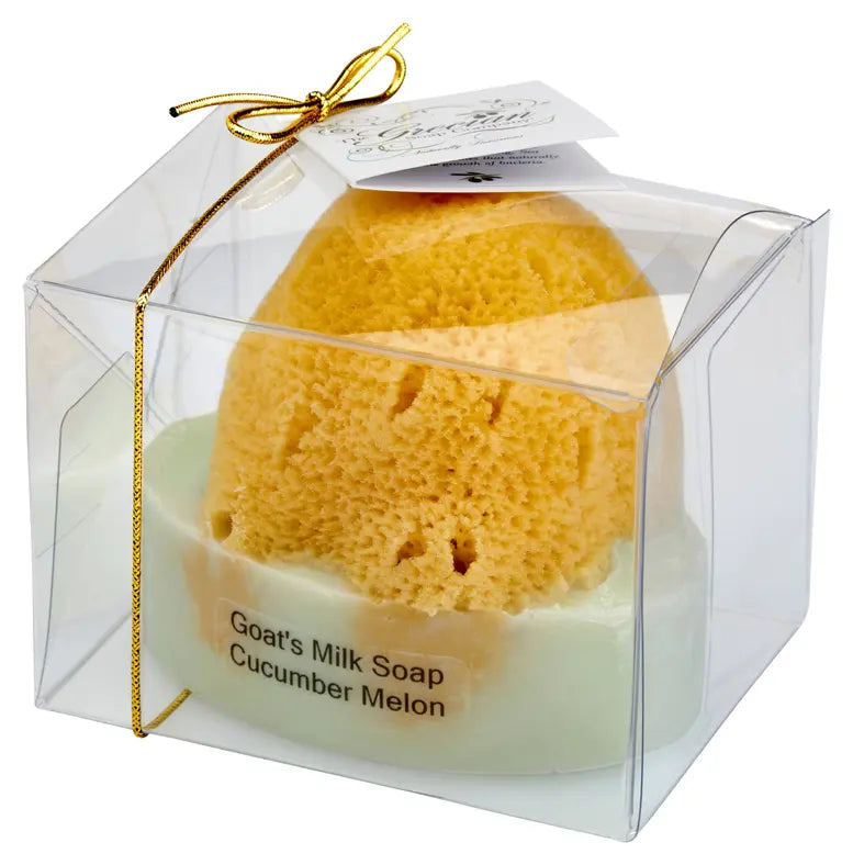 Goat Milk Soap with a Natural Sea Sponge Grecian Soap