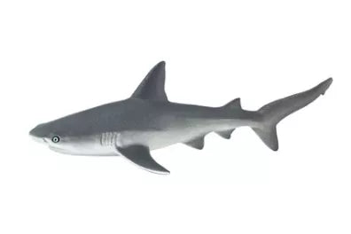 Gray Reef Shark Figurine Safari LTD