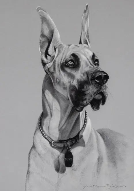 Great Dane - Joni Monroe Beinborn Portrait House and Garden Flag Best of Breed