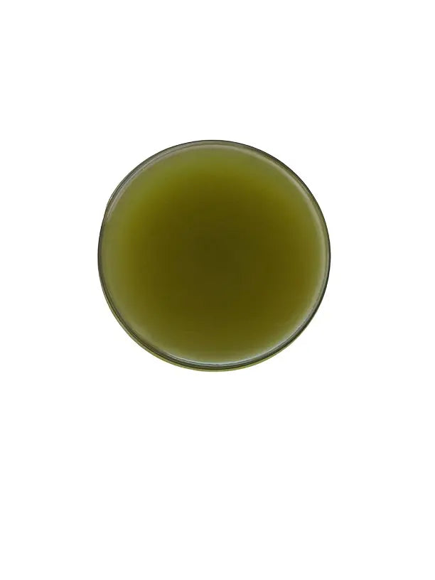 Green BeauTEA Hair Butter Balm Bathing Spirits Inc