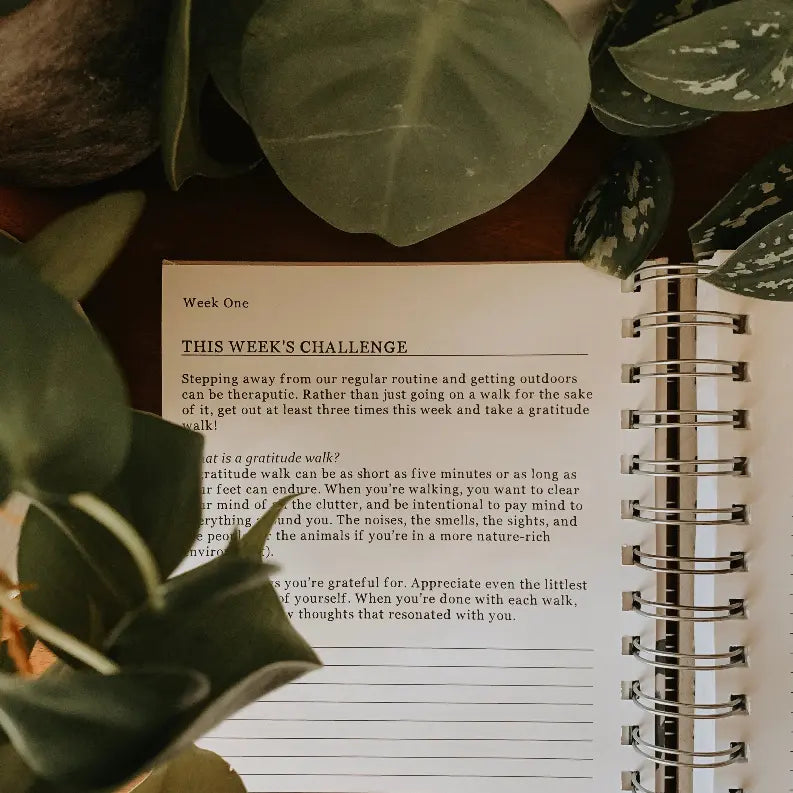 Guided Gratitude Journal - "See The Good" - Faces The Crafted Prints