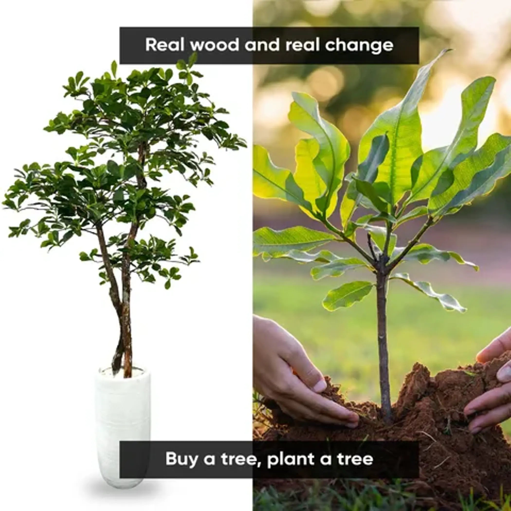Handmade 5' Black Olive Leaf Artificial Tree with Ethically Sourced Real Wood Trunks United Supply Industries