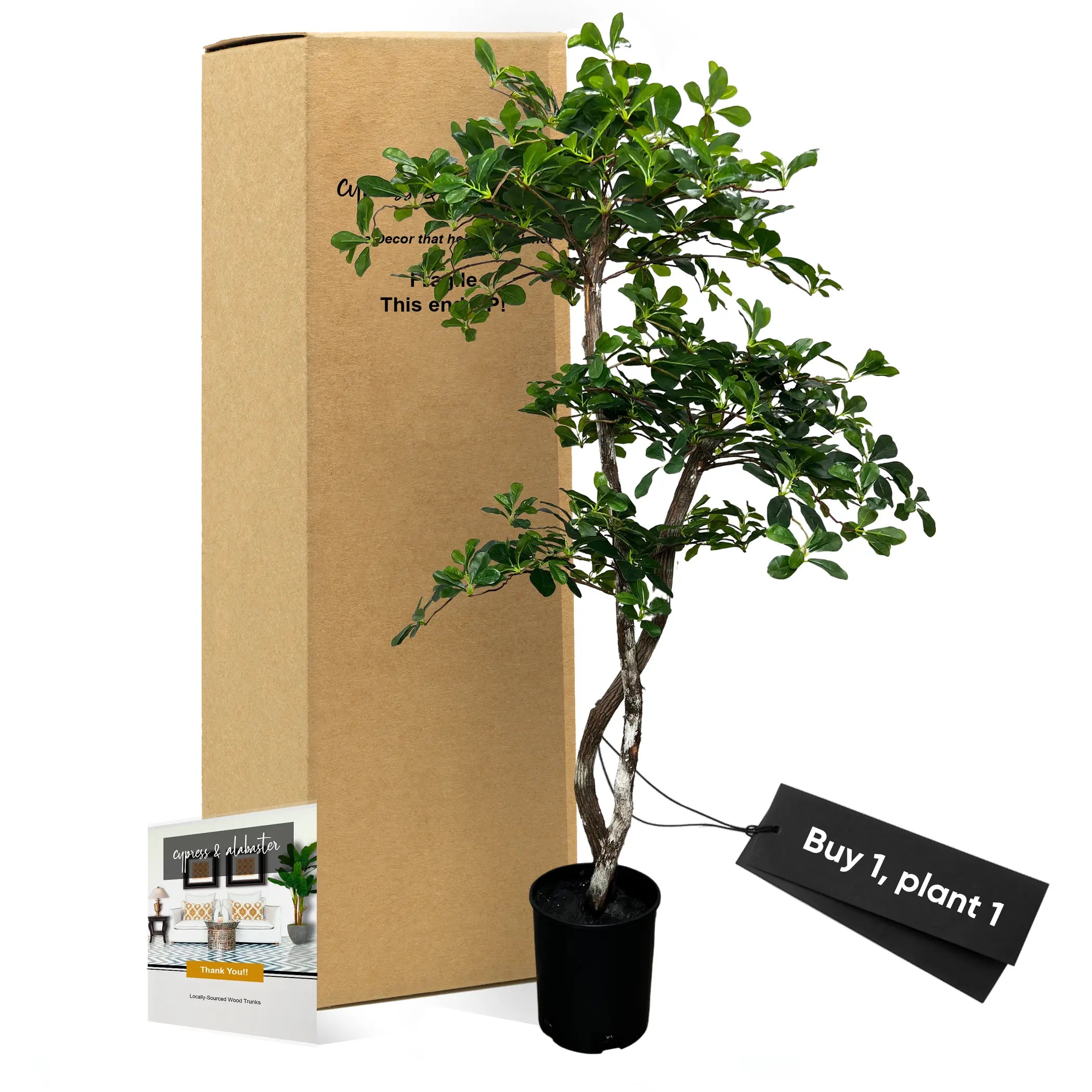 Handmade 5' Black Olive Leaf Artificial Tree with Ethically Sourced Real Wood Trunks United Supply Industries