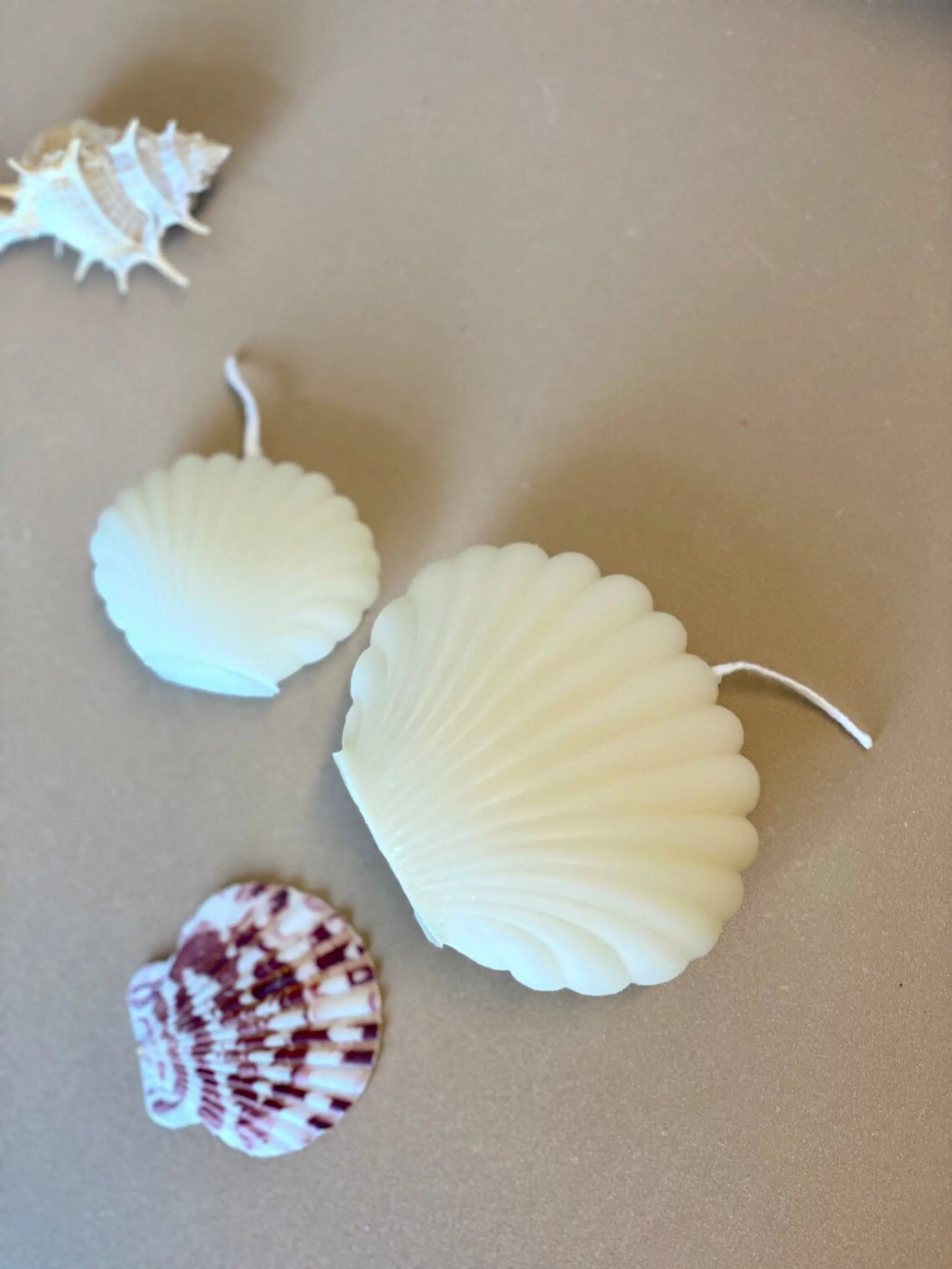 Handmade Soy Wax Shell Candles AmberLane