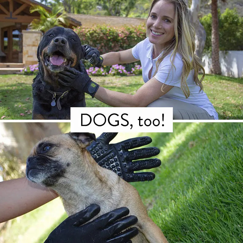 HandsOn Gloves HandsOn Gloves