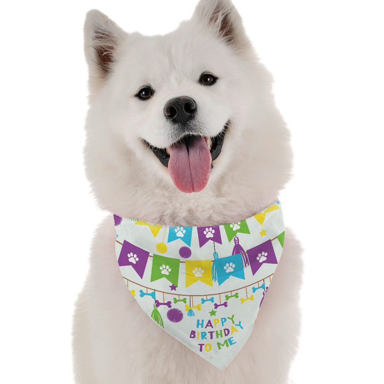 Happy Birthday To Me (Boy) Bandoggies