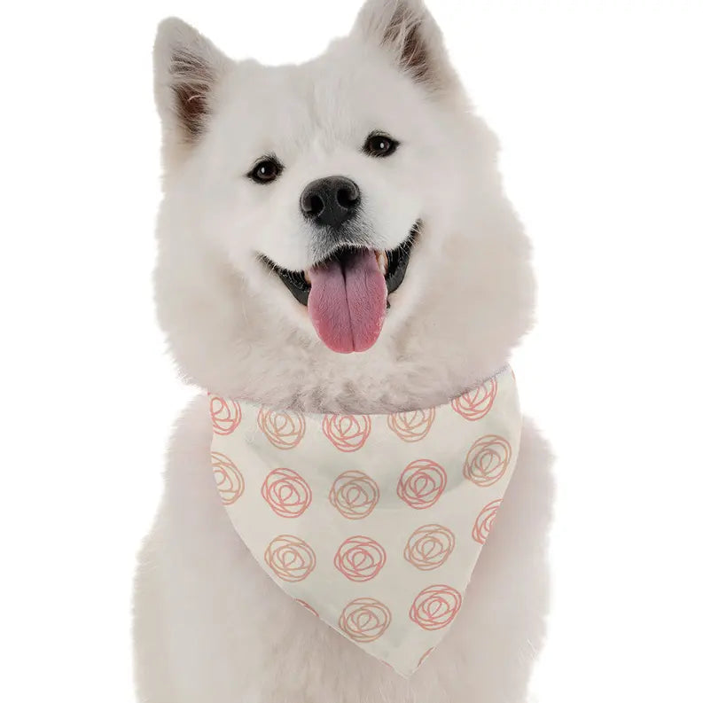 Haven Bandoggies