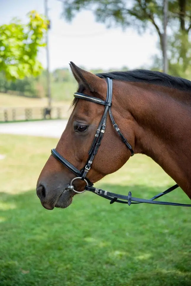 Henri de Rivel Clincher Bridle JPC Equestrian