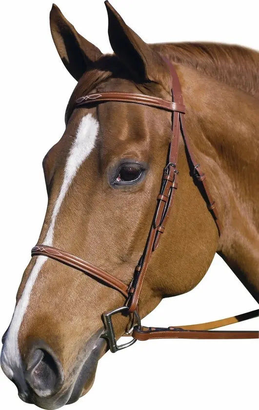 Henri de Rivel Pro Fancy Raised Bridle With Laced Reins JPC Equestrian