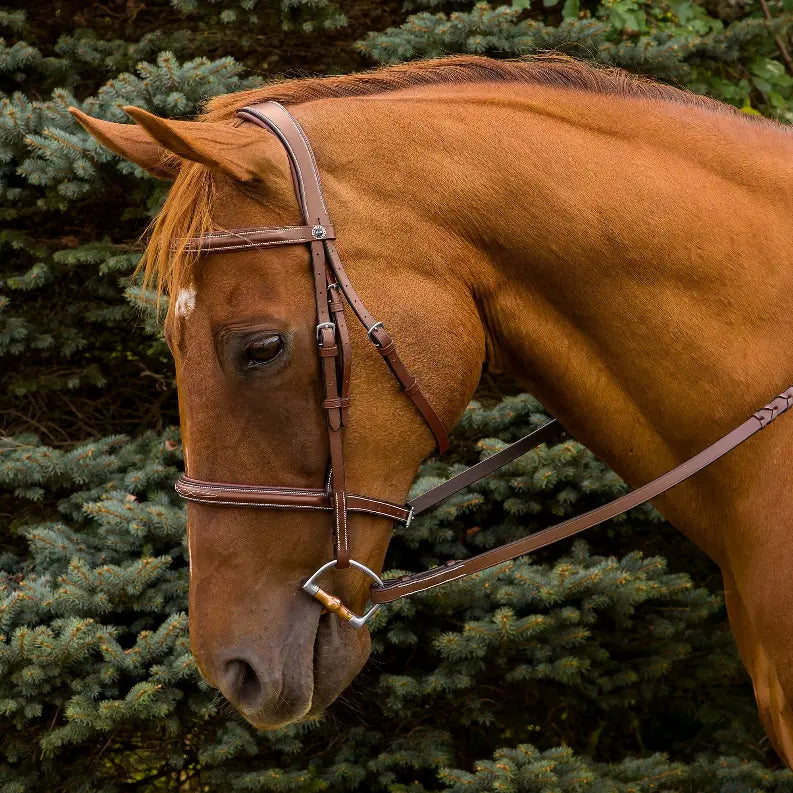 Henri de Rivel Pro Mono Crown Fancy Stitched Padded Bridle JPC Equestrian