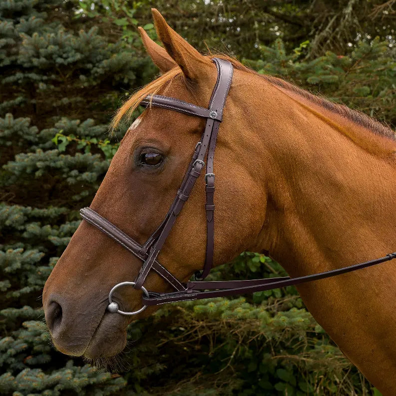 Henri de Rivel Pro Mono Crown Fancy Stitched Padded Bridle JPC Equestrian