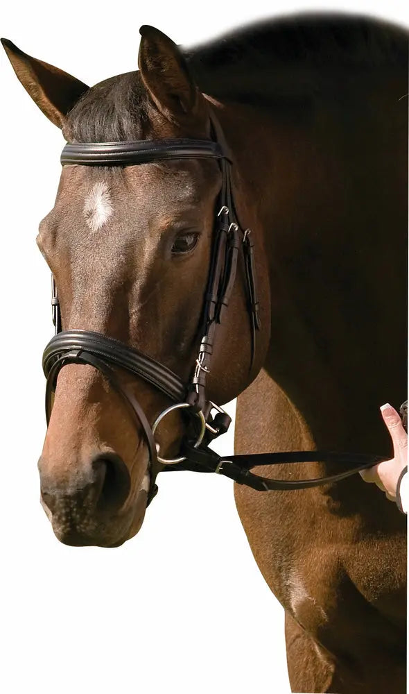 Henri de Rivel Pro Padded Raised Dressage Bridle with Crank Flash Noseband with Web Reins JPC Equestrian