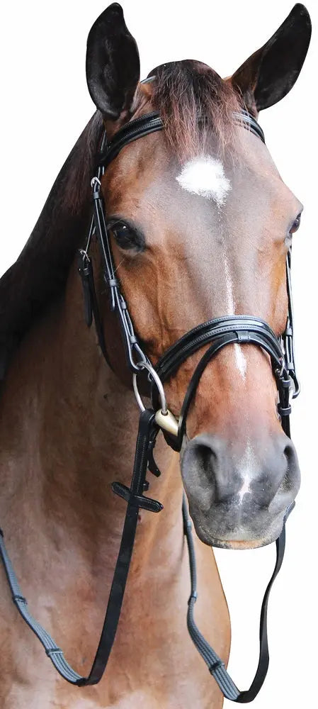 Henri de Rivel Pro Piaffe Mono Crown Bridle with Flash Noseband with Patent Leather and webbed rubber reins with leather stops JPC Equestrian