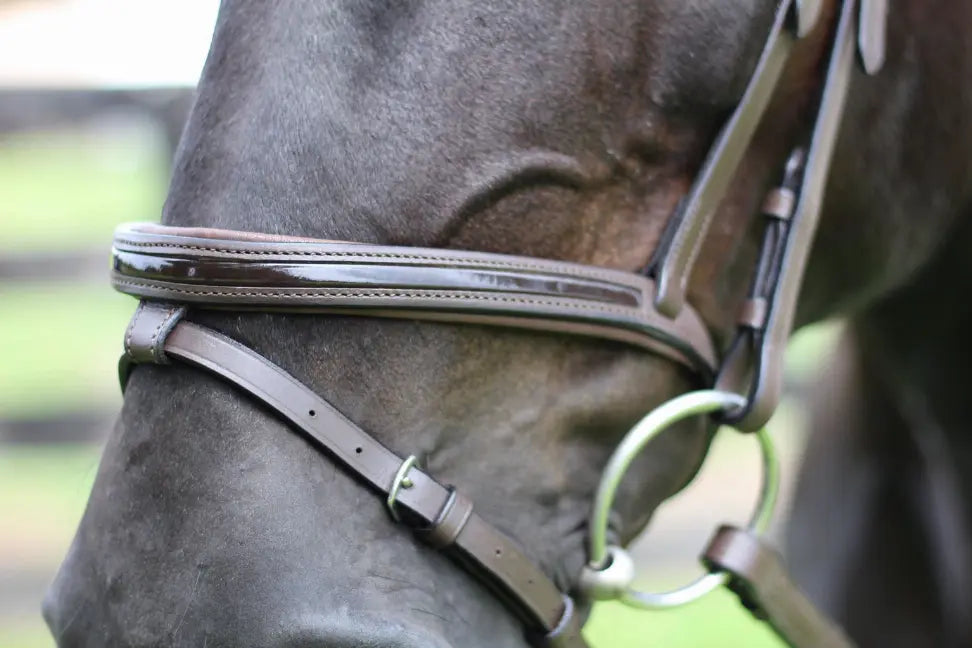 Henri de Rivel Pro Piaffe Mono Crown Bridle with Flash Noseband with Patent Leather and webbed rubber reins with leather stops JPC Equestrian