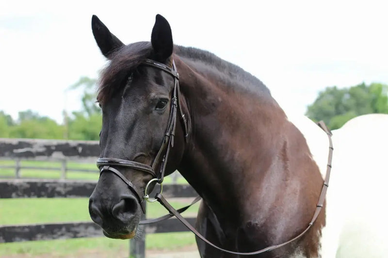 Henri de Rivel Pro Piaffe Mono Crown Bridle with Flash Noseband with Patent Leather and webbed rubber reins with leather stops JPC Equestrian