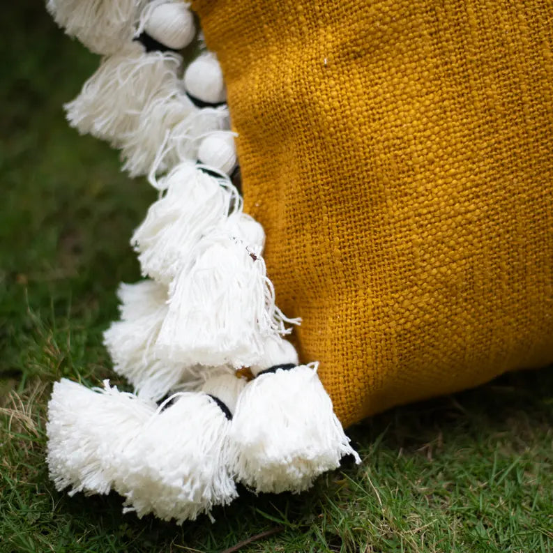 Hermosa Throw Pillow Bit of Meraki