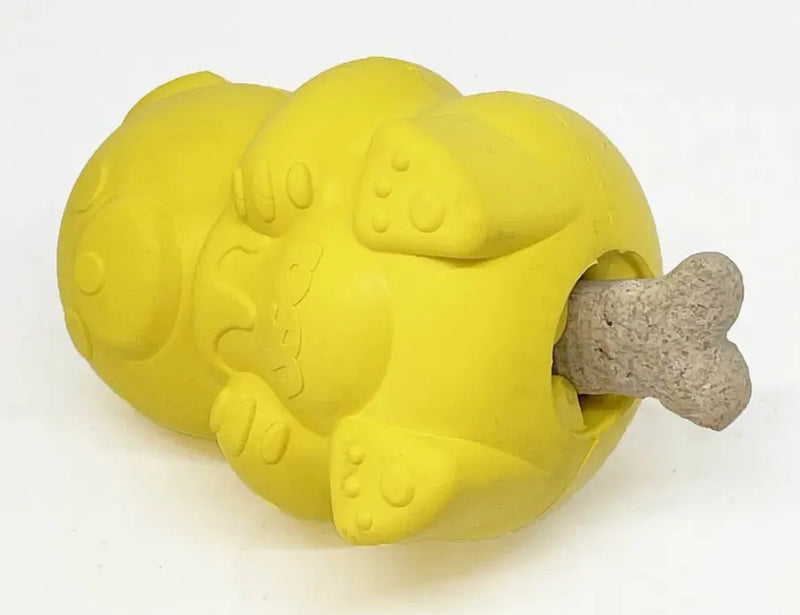 Honey Bear Treat Dispenser SodaPup