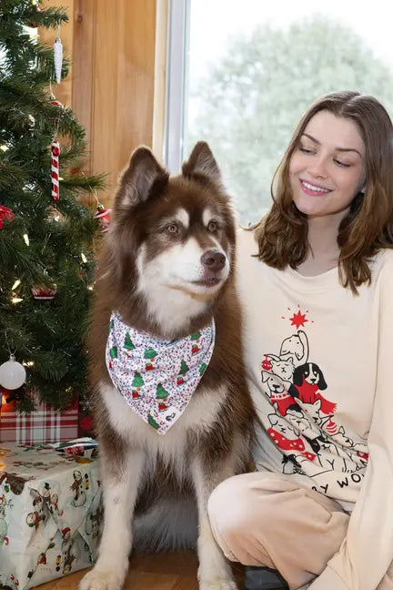 Howliday Cheer Dog Bandana Aria the Fox