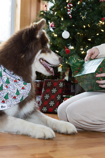 Howliday Cheer Dog Bandana Aria the Fox