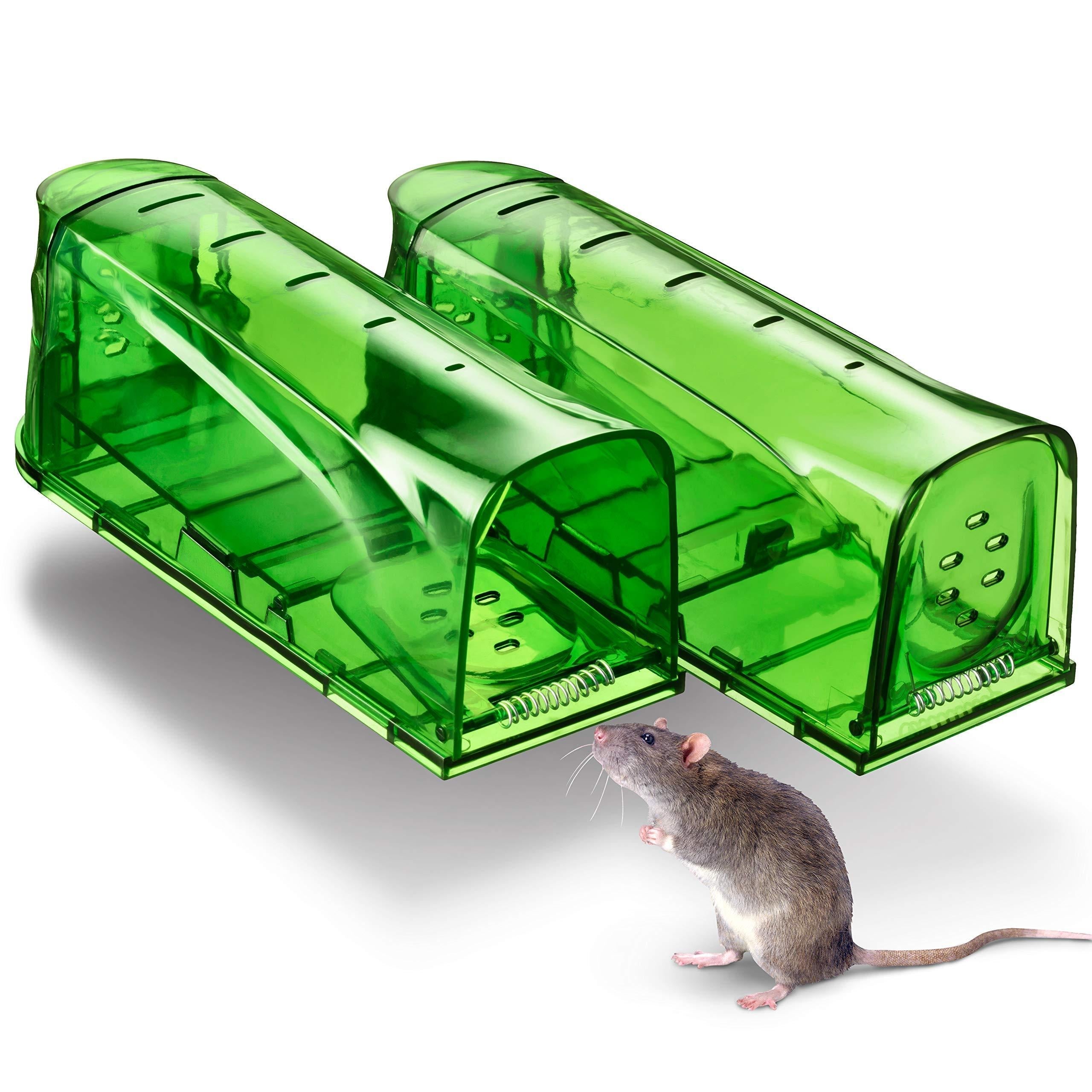 Humane Mouse Traps Catch and Release That Work   Mouse Traps No Kill   Live Mouse Traps   Reusable Mouse Traps for HouseGarageOutsideSmall MiceMultiple Mice   2 Pack Trazon
