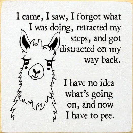 I came, I saw, I forgot what I was doing, retracted my steps Sawdust City