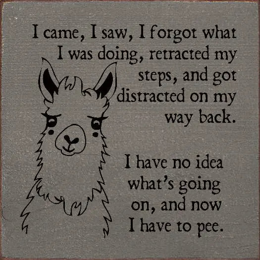 I came, I saw, I forgot what I was doing, retracted my steps Sawdust City