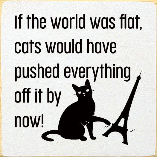 If the World Was Flat Wood Sign Sawdust City