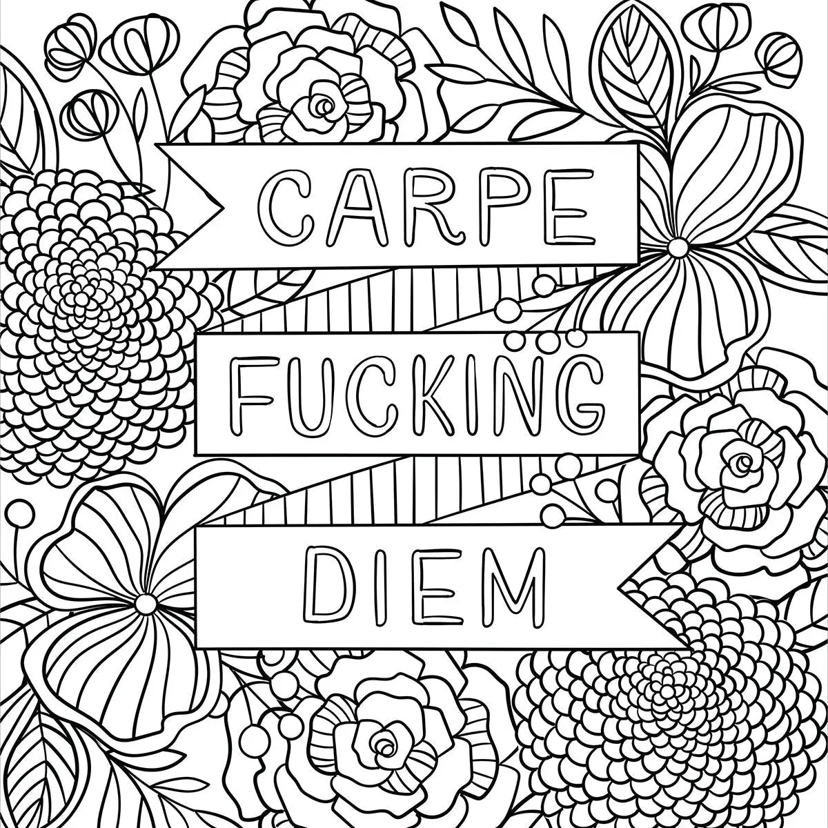 Inner F*cking Peace Coloring Book Peter Pauper Press