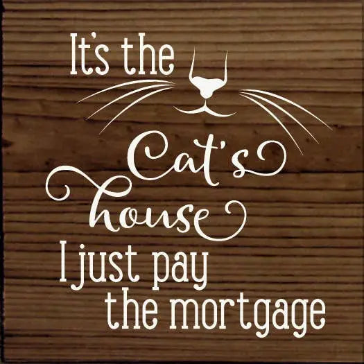 It's the cat's house I just pay the mortgage Sawdust City