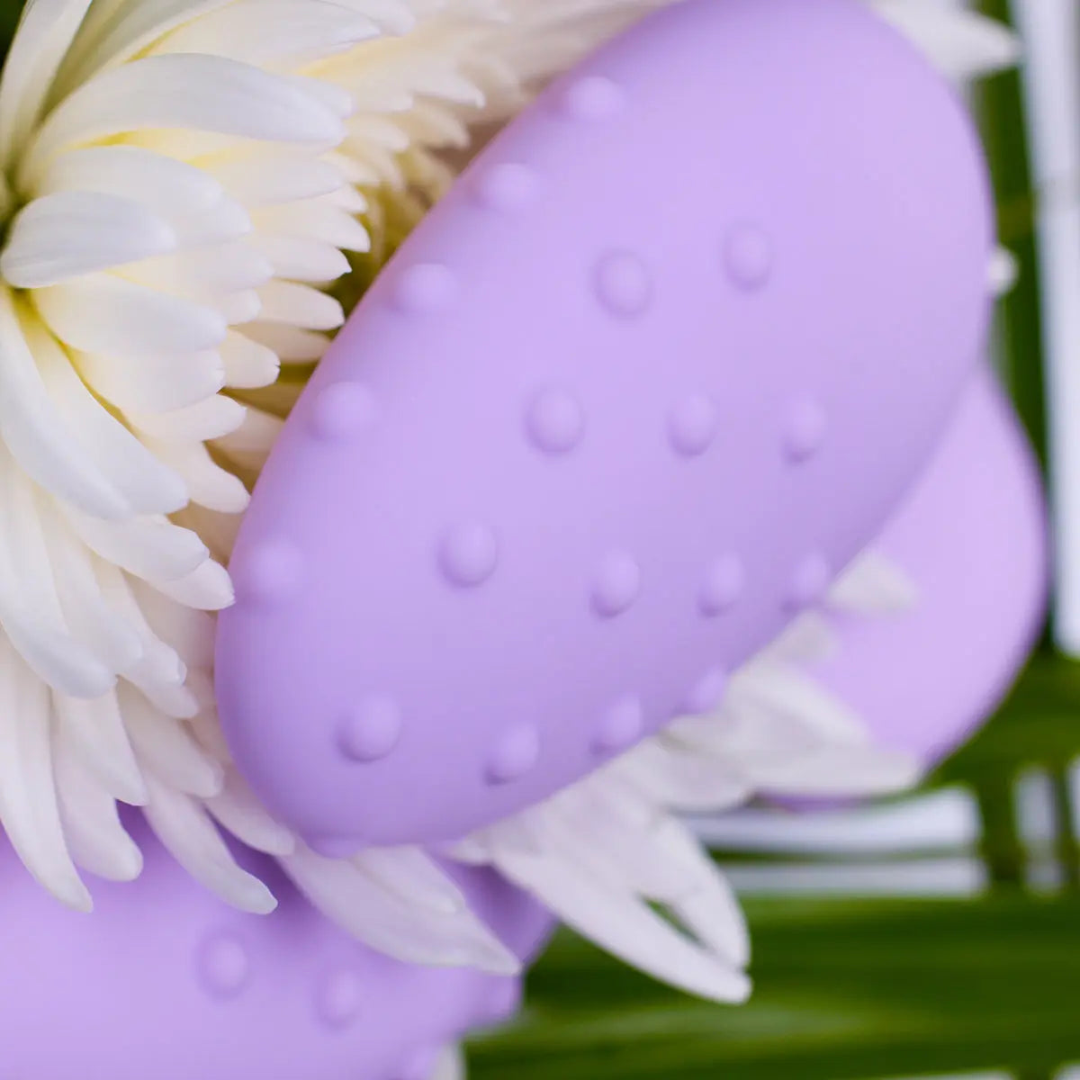 Je Joue Mimi Deux Lilac Je Joue