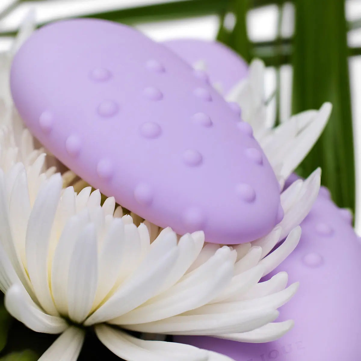 Je Joue Mimi Deux Lilac Je Joue