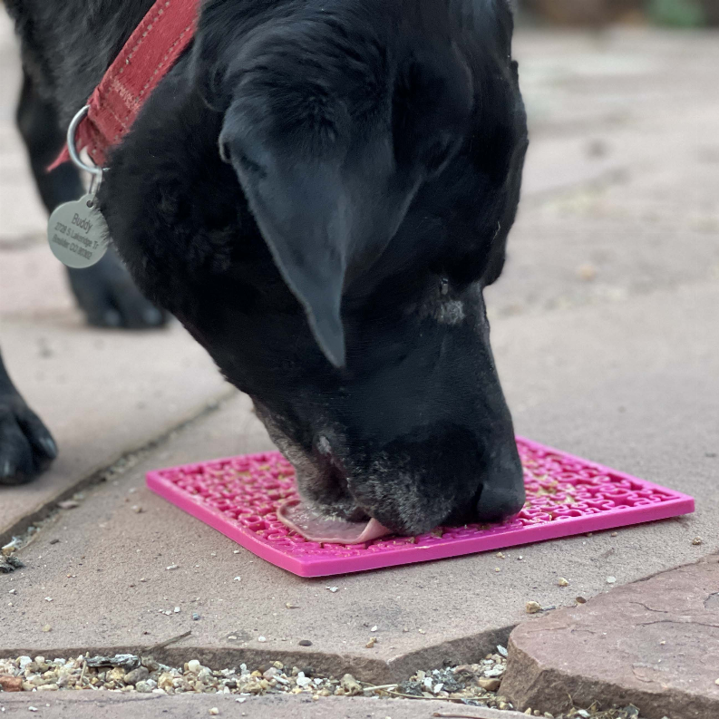 Jigsaw Design eMat Enrichment Lick Mat SodaPup