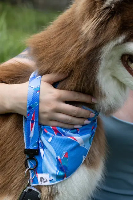 K9 Kayak Dog Bandana & Matching Keychain Aria the Fox