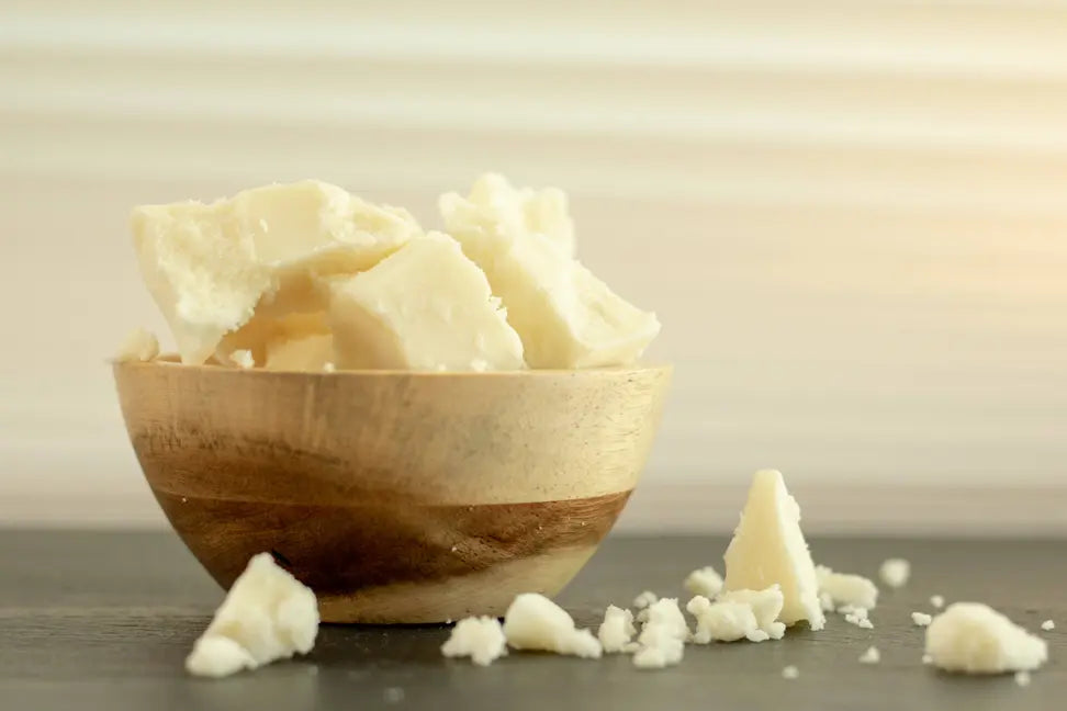 Kokum Butter Bulk | 100% Pure | 10 Lbs Better Shea Butter