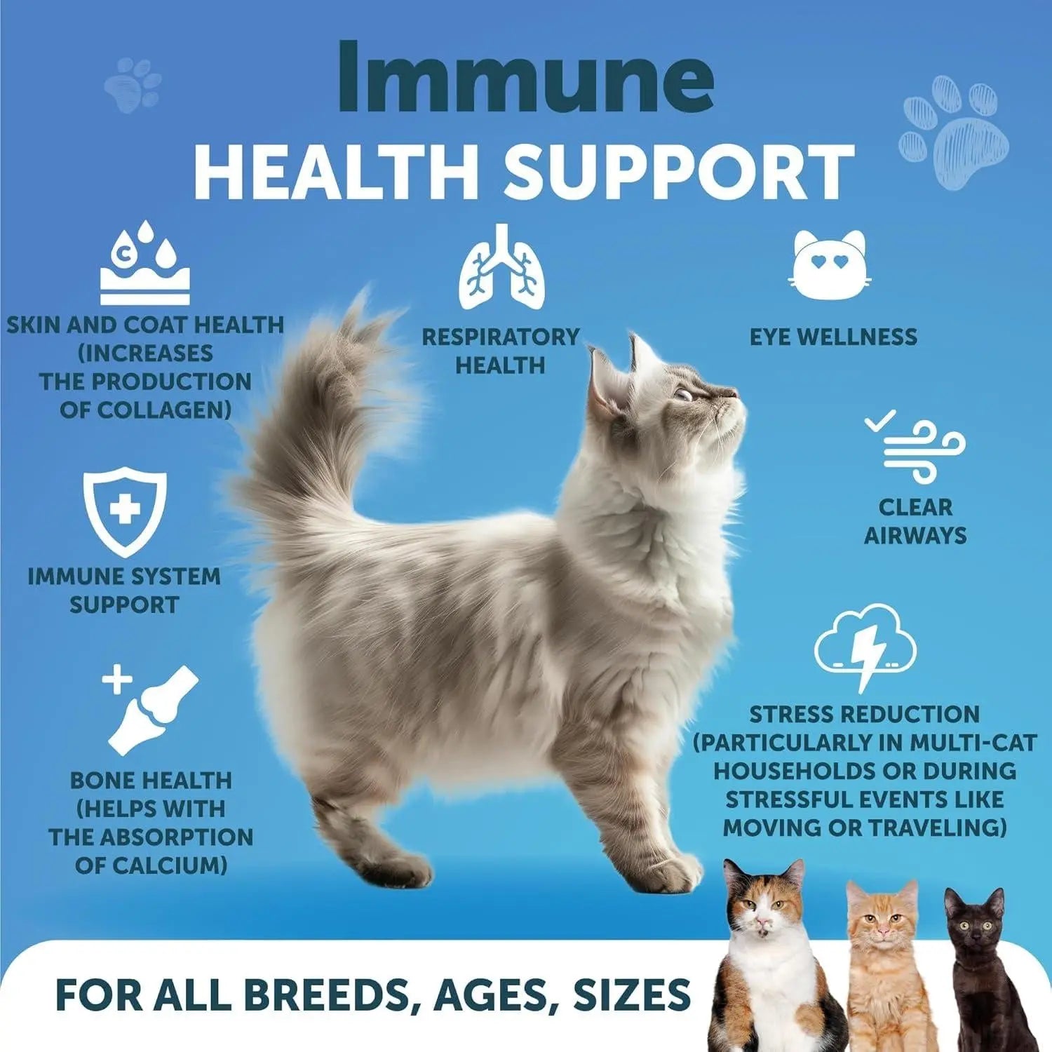 L Lysine for Cats   Lysine Powder Supplement   900mg serving   Immune Support for Cats & Kittens   Sneezing Runny Nose Squinting Watery Eyes Cold Eye Function Respiratory Health   with Taurine Artullano