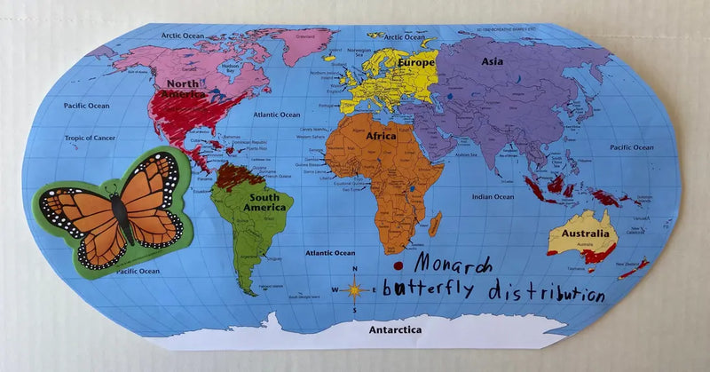 Labeled World- Practice Maps Creative Shapes