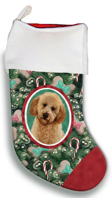 Labradoodle Red- Best of Breed Christmas Stocking Best of Breed